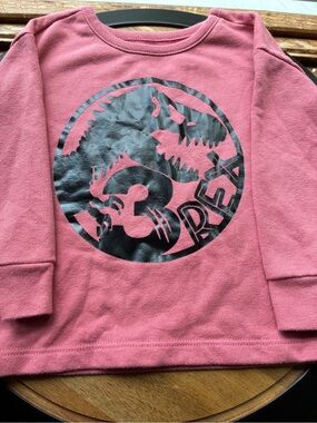 Kids' 3 Rex Graphic Sweatshirt - Dusty Rose Happy 3rd Birthday Shirt size 2t